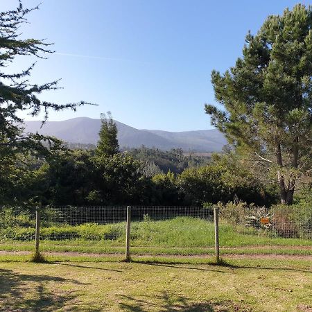 Elephant Country Guest House The Crags Extérieur photo