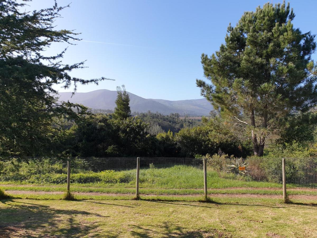 Elephant Country Guest House The Crags Extérieur photo
